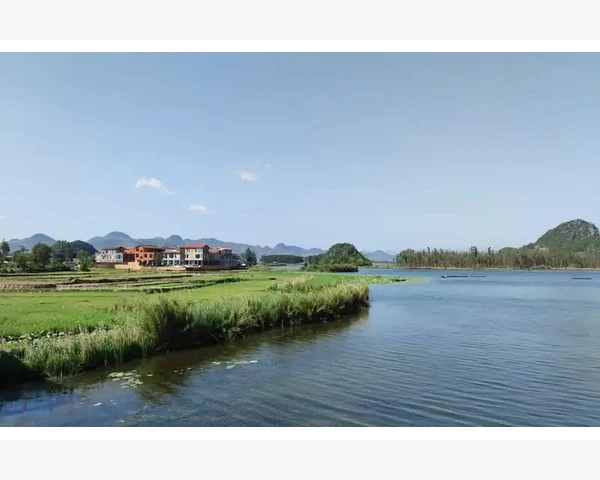 儿童脾胃虚寒能喝鸭汤吗？